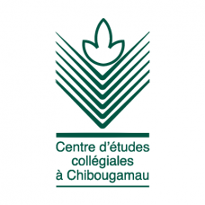 Centre d'études collégiales à Chibougamau